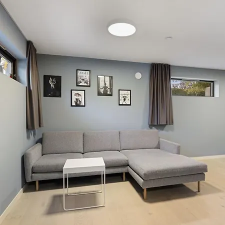 Luxurious For Rent During Ons In Otel Stavanger